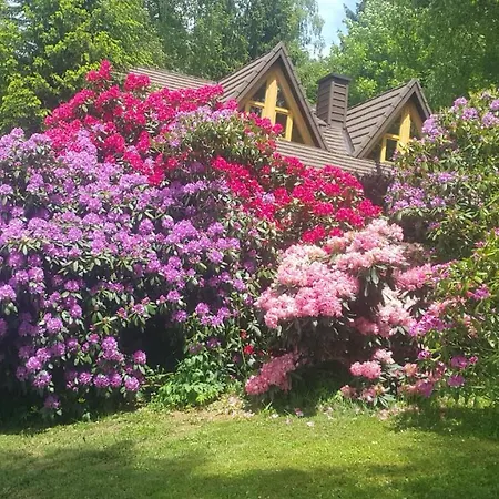 Bellevue Rogla Vikendica