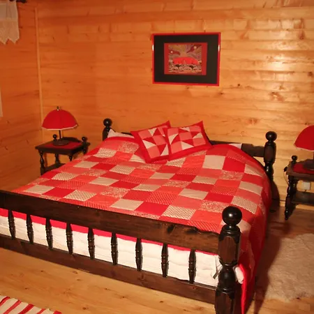 Bellevue Rogla Holiday home