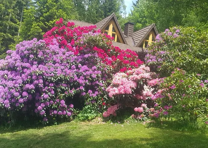 Bellevue Rogla Hébergement de vacances